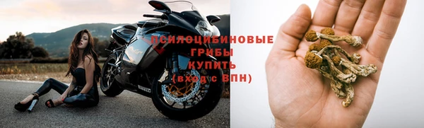 мескалин Алексин