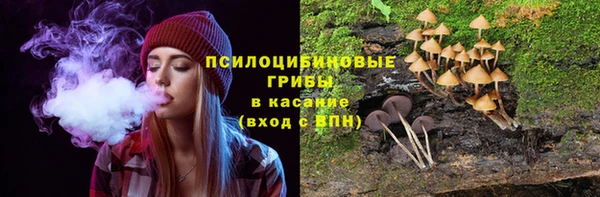 мескалин Алексин
